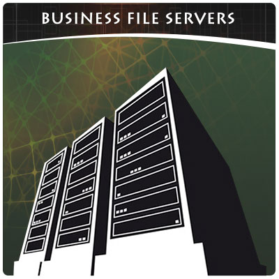 Business File Servers